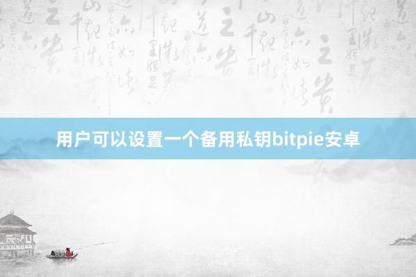 用户可以设置一个备用私钥bitpie安卓