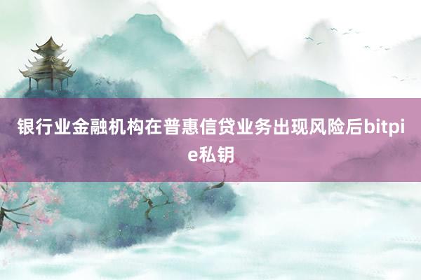 银行业金融机构在普惠信贷业务出现风险后bitpie私钥