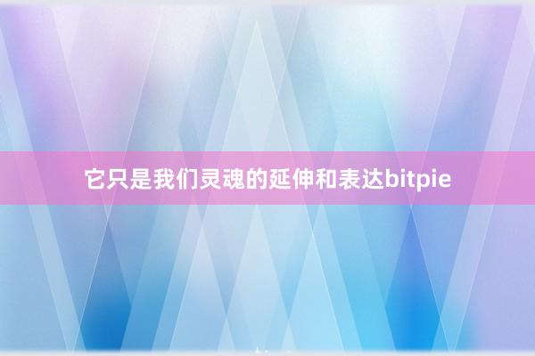 它只是我们灵魂的延伸和表达bitpie