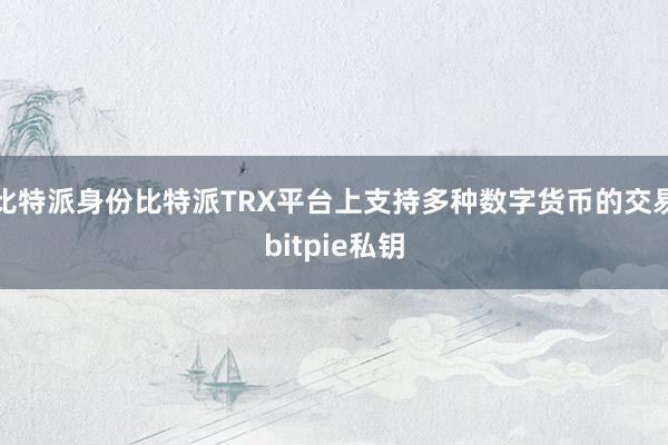 比特派身份比特派TRX平台上支持多种数字货币的交易bitpie私钥