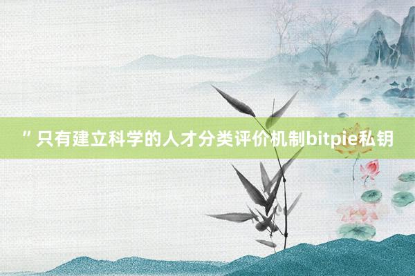 ”只有建立科学的人才分类评价机制bitpie私钥