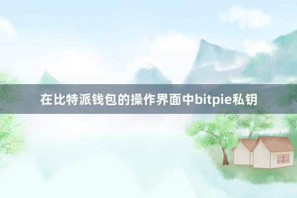 在比特派钱包的操作界面中bitpie私钥