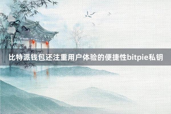 比特派钱包还注重用户体验的便捷性bitpie私钥