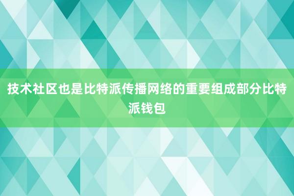 技术社区也是比特派传播网络的重要组成部分比特派钱包