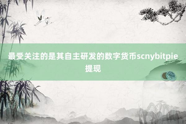 最受关注的是其自主研发的数字货币scnybitpie提现