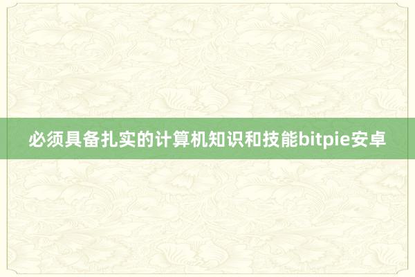 必须具备扎实的计算机知识和技能bitpie安卓