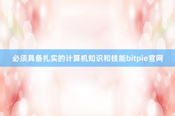 必须具备扎实的计算机知识和技能bitpie官网