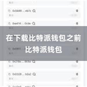 在下载比特派钱包之前比特派钱包