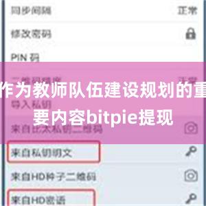作为教师队伍建设规划的重要内容bitpie提现