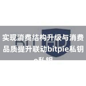 实现消费结构升级与消费品质提升联动bitpie私钥