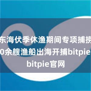 东海伏季休渔期间专项捕捞9600余艘渔船出海开捕bitpie官网