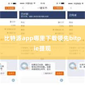 比特派app哪里下载领先bitpie提现