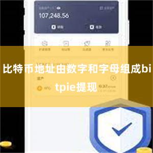 比特币地址由数字和字母组成bitpie提现